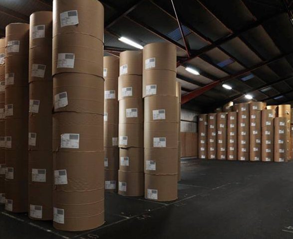 Paper rolls in warehouse