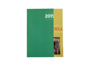 coverpage of cellmark financial summary 2019