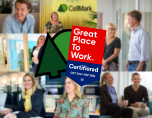 cellmark great place to work certification