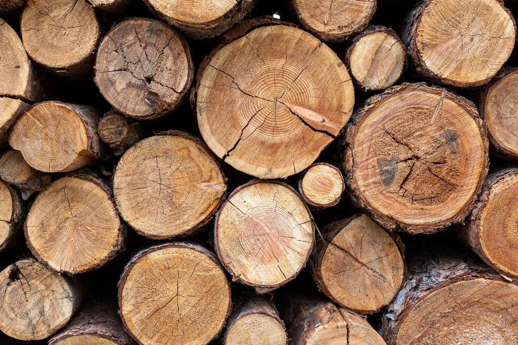 Stacked Wood Logs