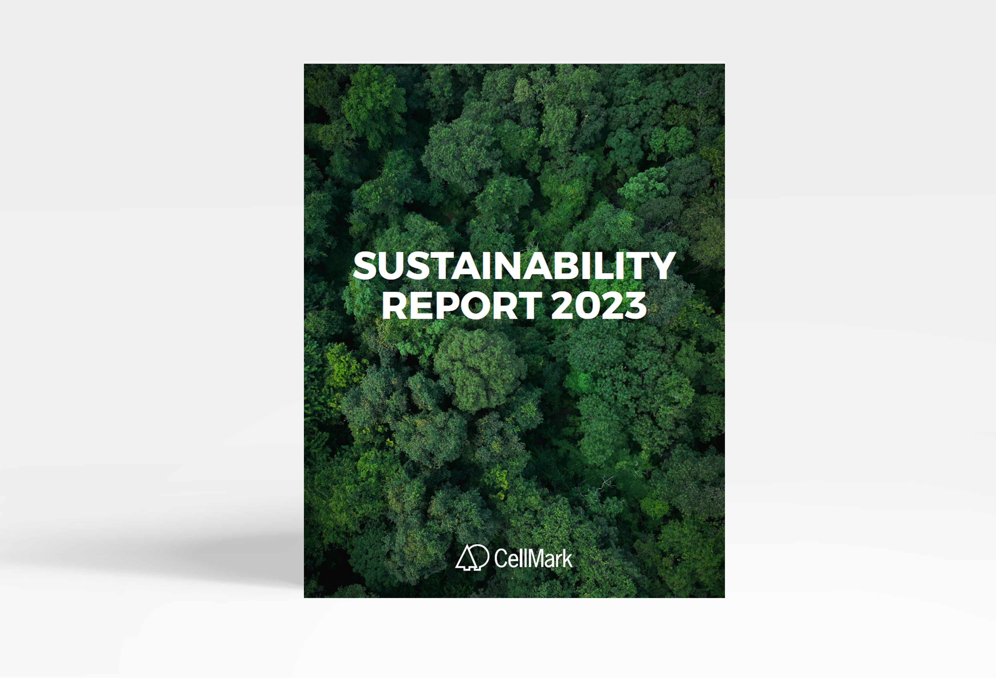 a green sustainability report displayed on grey background